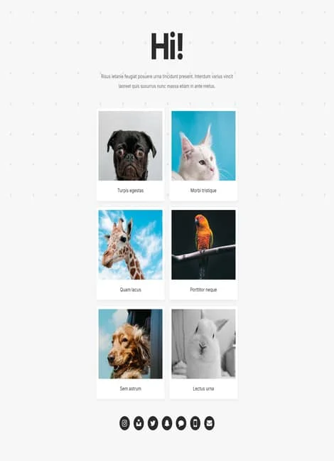 carrd-template116-portfolio-template