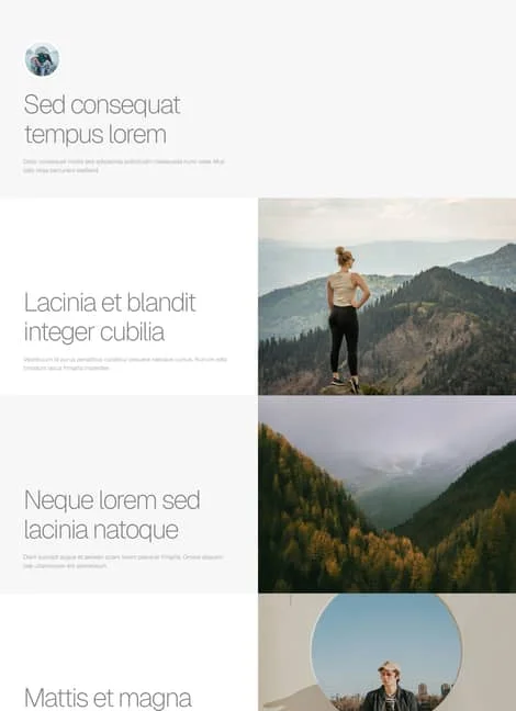 carrd-template251-portfolio-template