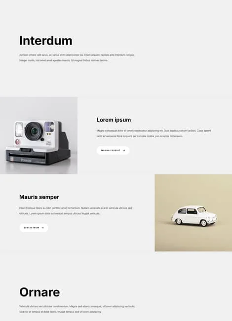 carrd-template198-portfolio-template