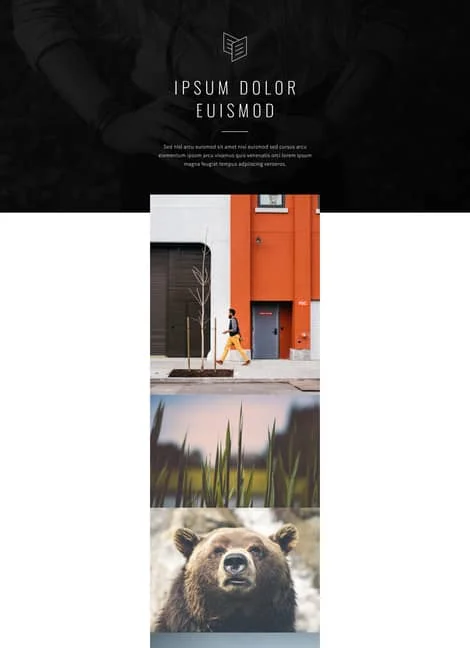 carrd-template35-portfolio-template